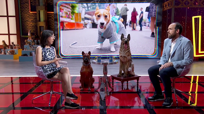 Órbita Laika - ¿Hay perros buenos y malos? ¿Es malo tratarlos como humanos?