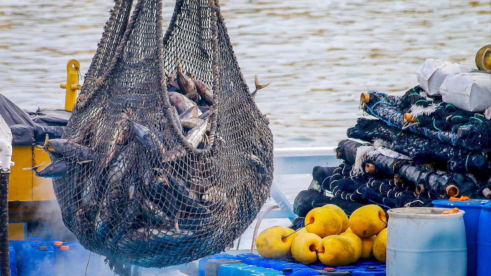 La pesca se para por segundo día y sigue a la espera de la decisión de Bruselas