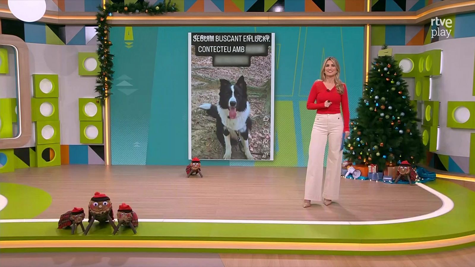 Robatori de gossos, cases cremades i torrons | L'altaveu - L'altaveu | Veure