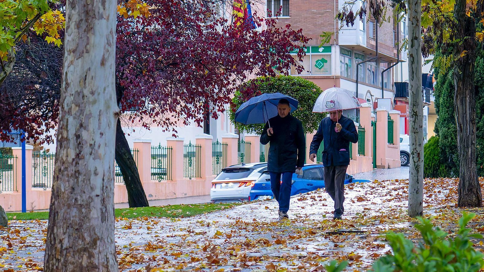 El tiempo matinal - 11/12/2024 - El tiempo | Ver