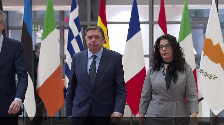 Diario 24 - Diario 24 - 11/12/24