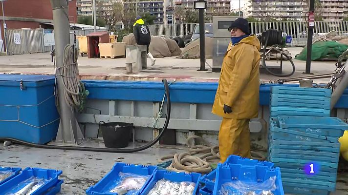 L'Informatiu - L'Informatiu 2 - 11/12/2024