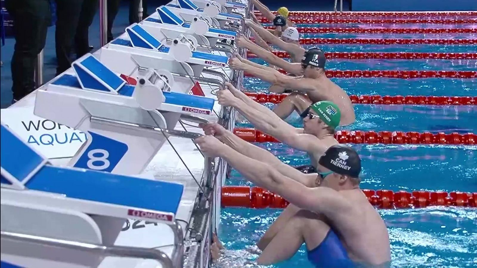 Natación - Campeonato del Mundo Piscina Corta. Sesión Vespertina