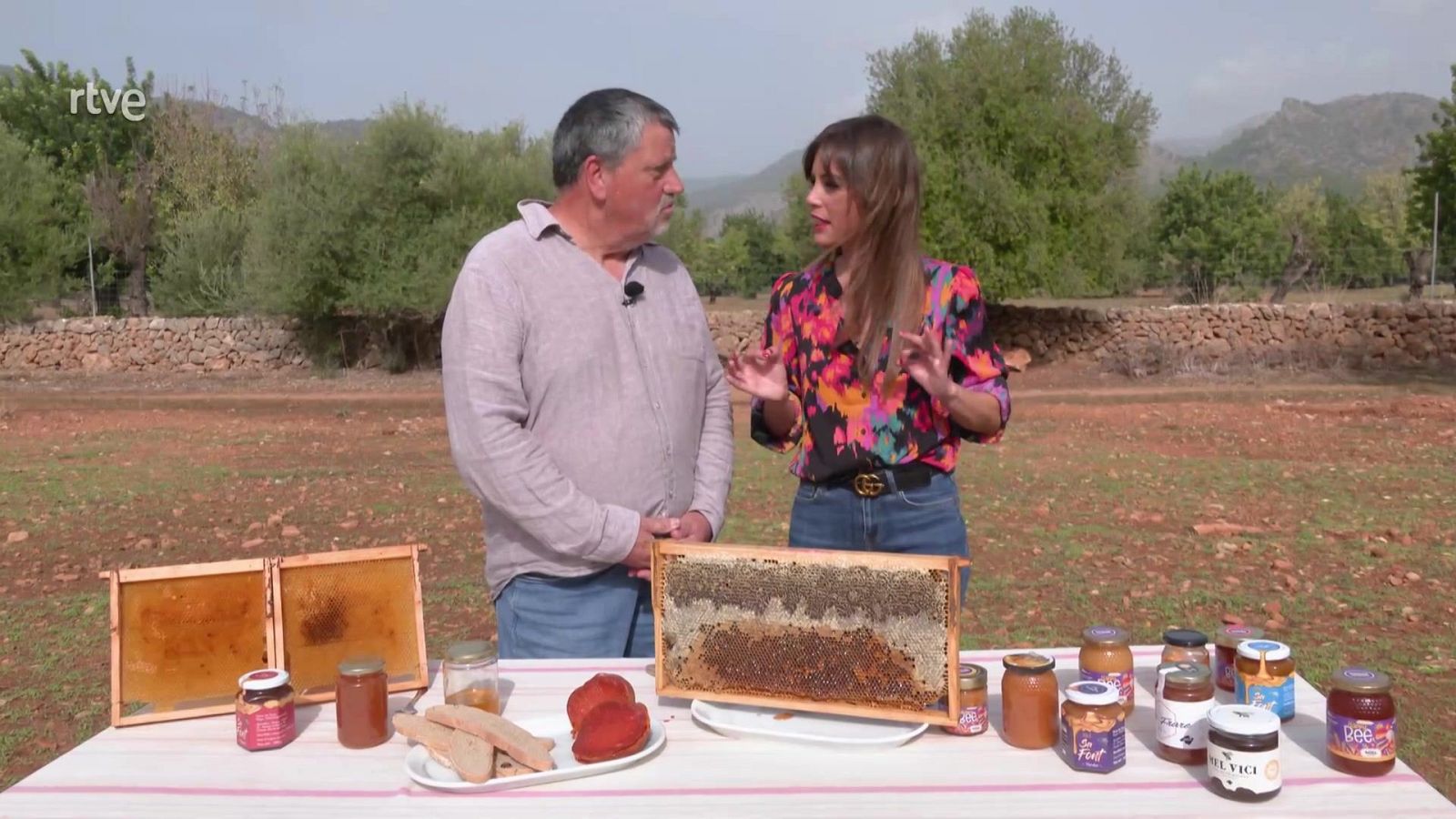 Dulce como la miel | Ver