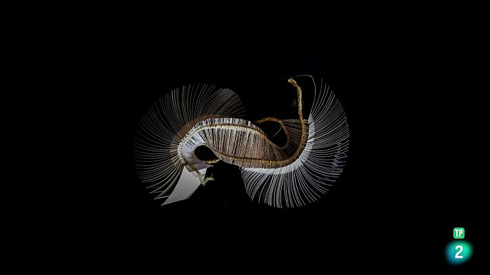 La aventura del Saber - Boek Visual: Javier Valverde