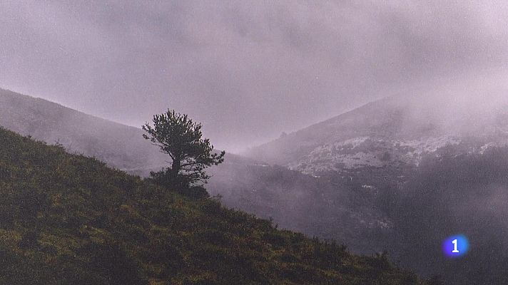 Informativo Telerioja - Informativo Telerioja 2 - 12-12-2024