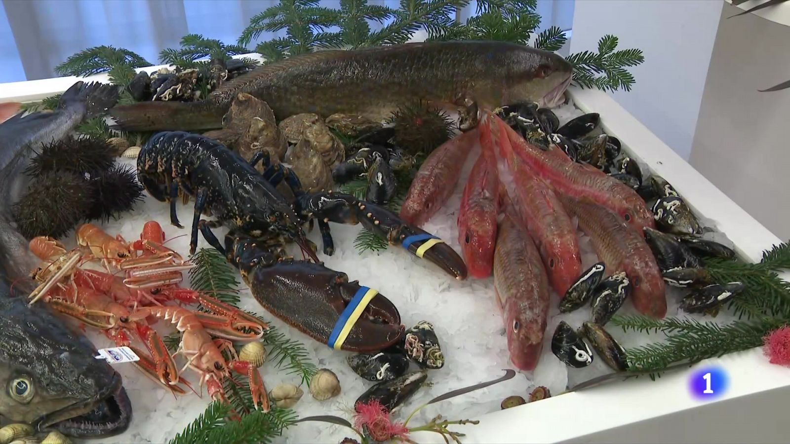 El preu dels àpats de Nadal: el peix fresc, un 10% més car - L'Informatiu | Veure