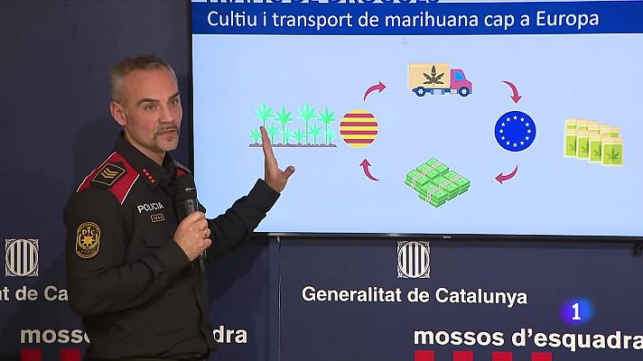 L'Informatiu - Desmantellat un grup criminal asiàtic de blanqueig del narcotràfic
