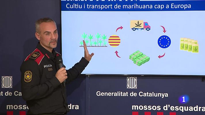 Desmantellat un grup criminal asiàtic de blanqueig del narcotràfic