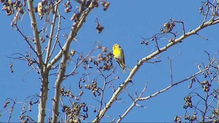 El tiempo - Cielos poco nubosos en la península