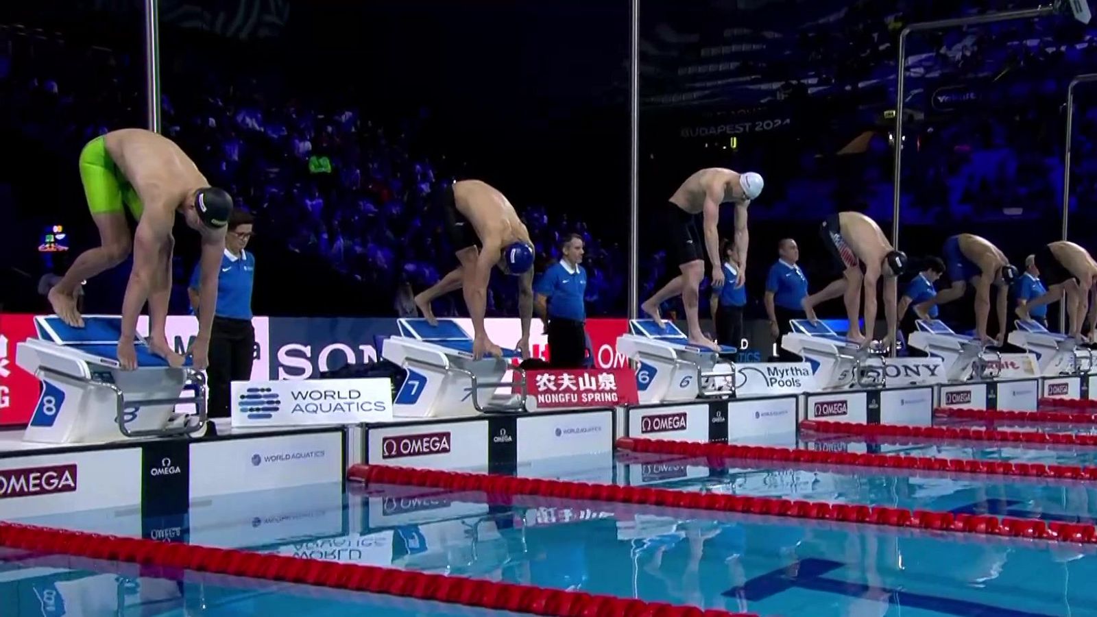 Natación - Campeonato del Mundo Piscina Corta. Sesión Vespertina - ver ahora