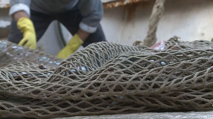 Agrosfera - Agrosfera - 14/12/24