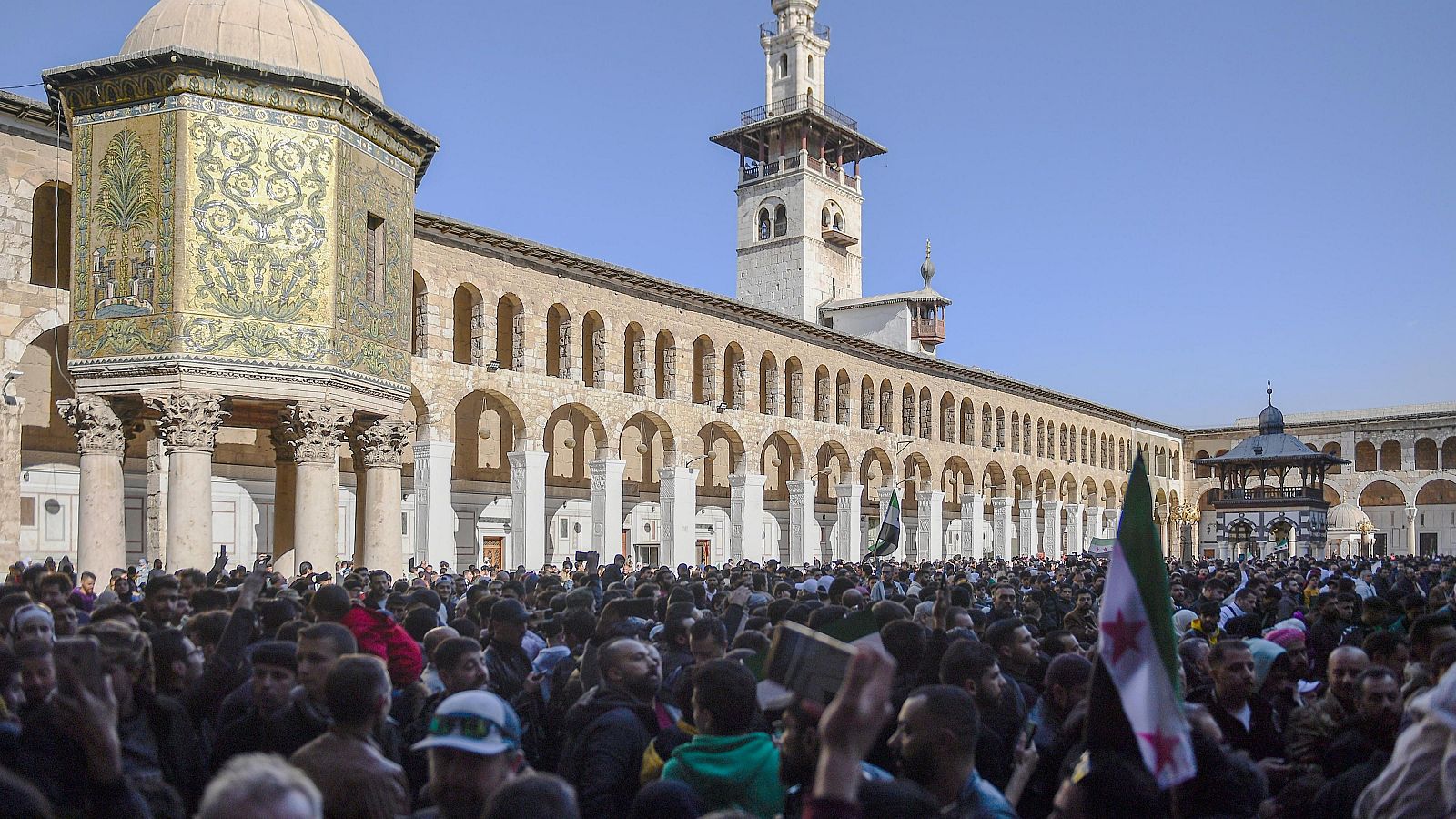 Informe semanal - 14/12/24 - ver ahora