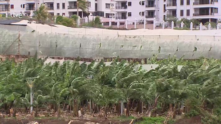 Fin de semana 24h - Informativo 24 horas - 20h - 15/12/24