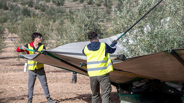 Acuerdo con Mercosur: \"Es un acuerdo bueno, pero no para la agricultura\" - La hora de La 1 | Ver