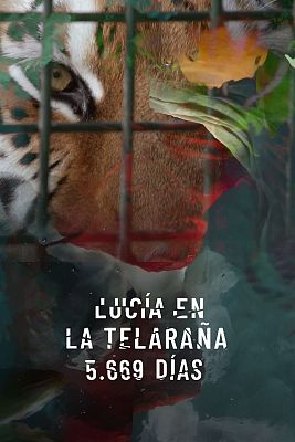 Lucía en la telaraña - 5.669 días (La película)