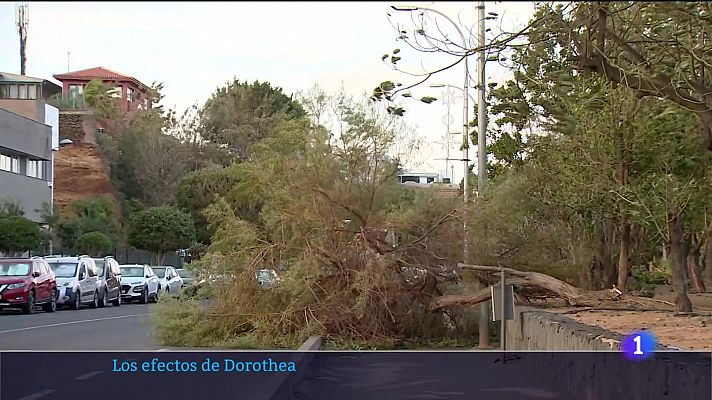 Telecanarias - Telecanarias - 16/12/2024