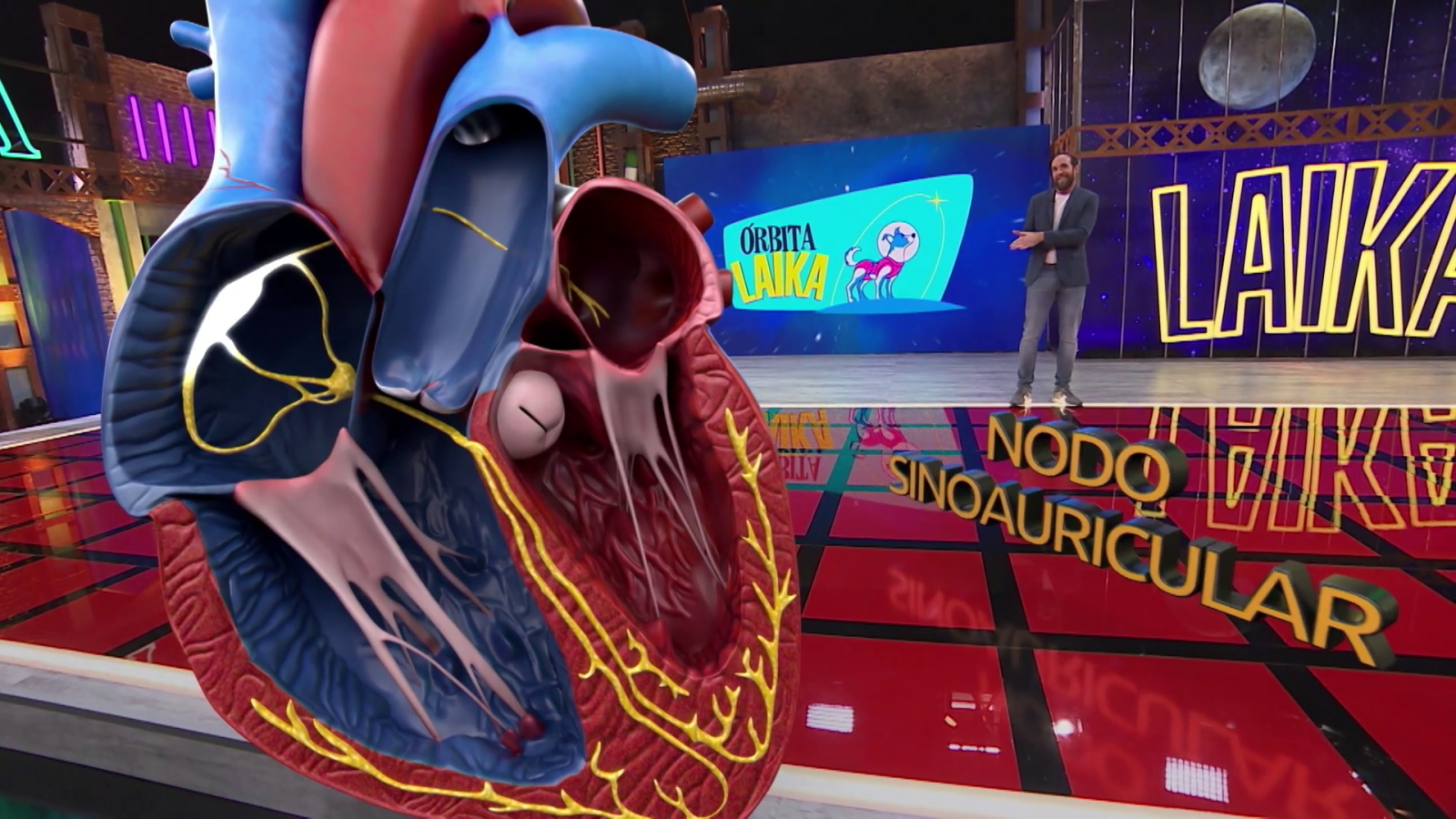 ¿Cómo funciona el corazón?, con Eduardo Sáenz de Cabezón - Órbita Laika | Ver