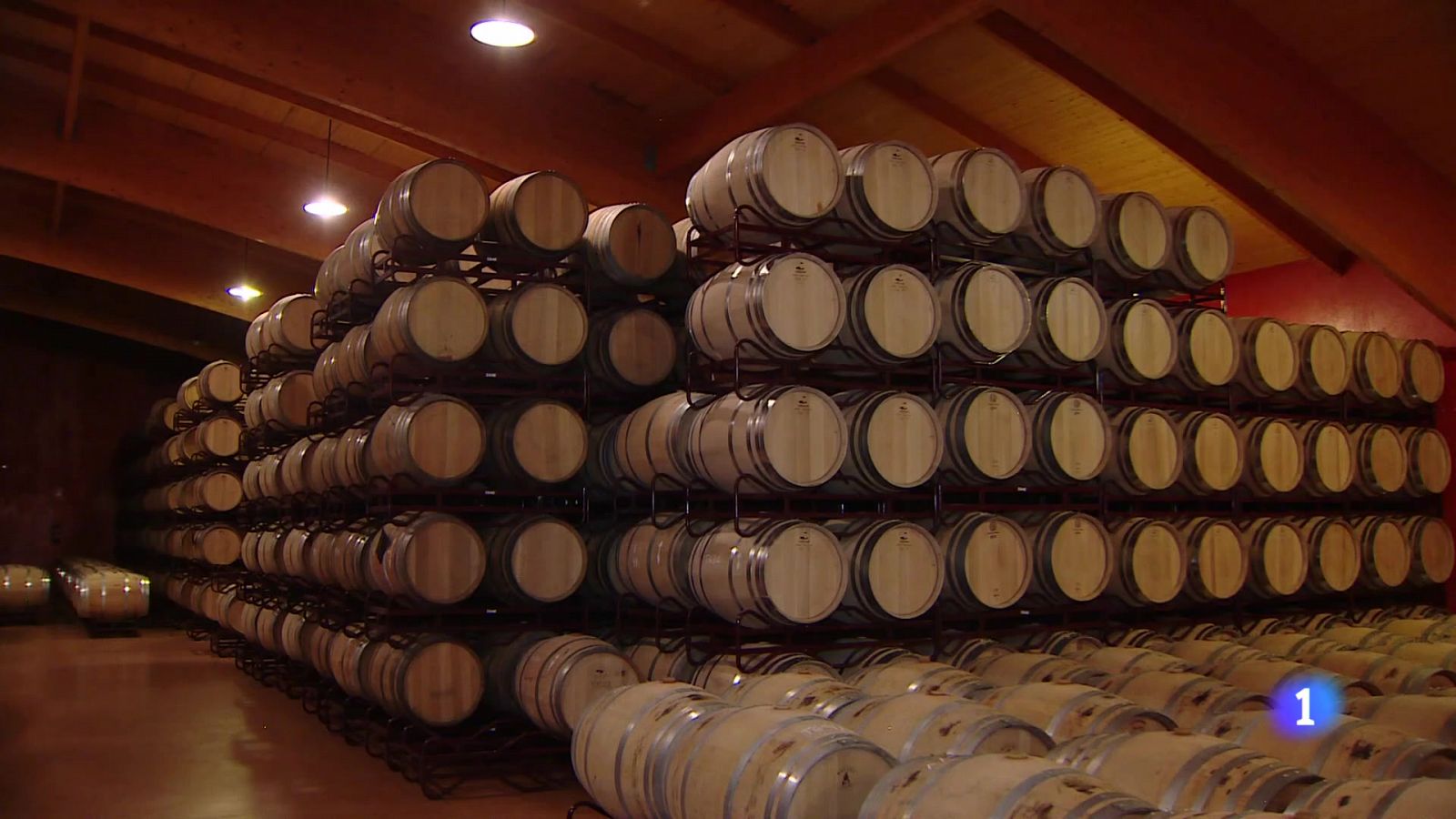 Informativo Telerioja - 17-12-2024 | Ver