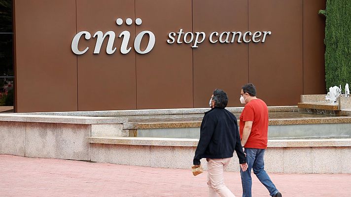 Telediario 1 - El patronato del CNIO pide una "explicación exhaustiva" de la gestión y la investigación