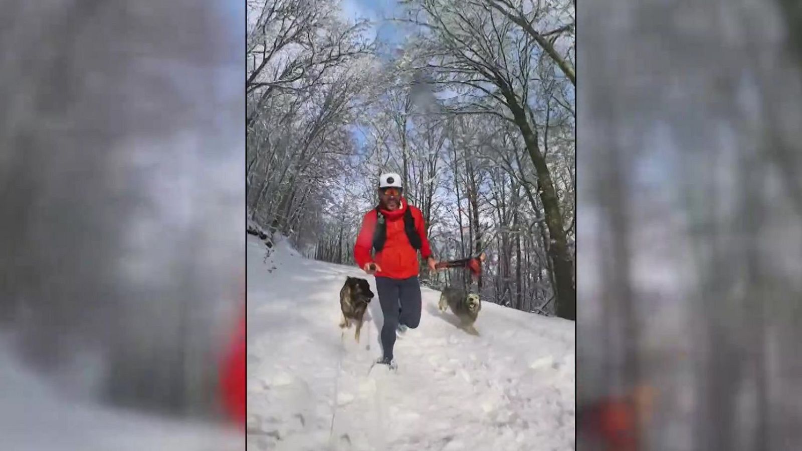 Corriendo por los bosques de Palencia | Ver