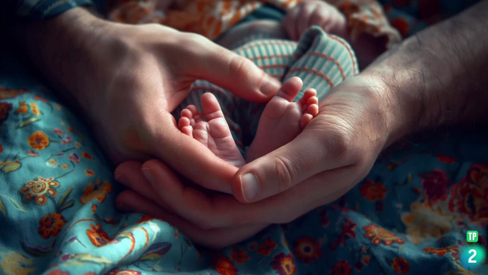 Boek Visual: Francisco Uceda-Julia Uceda | Ver