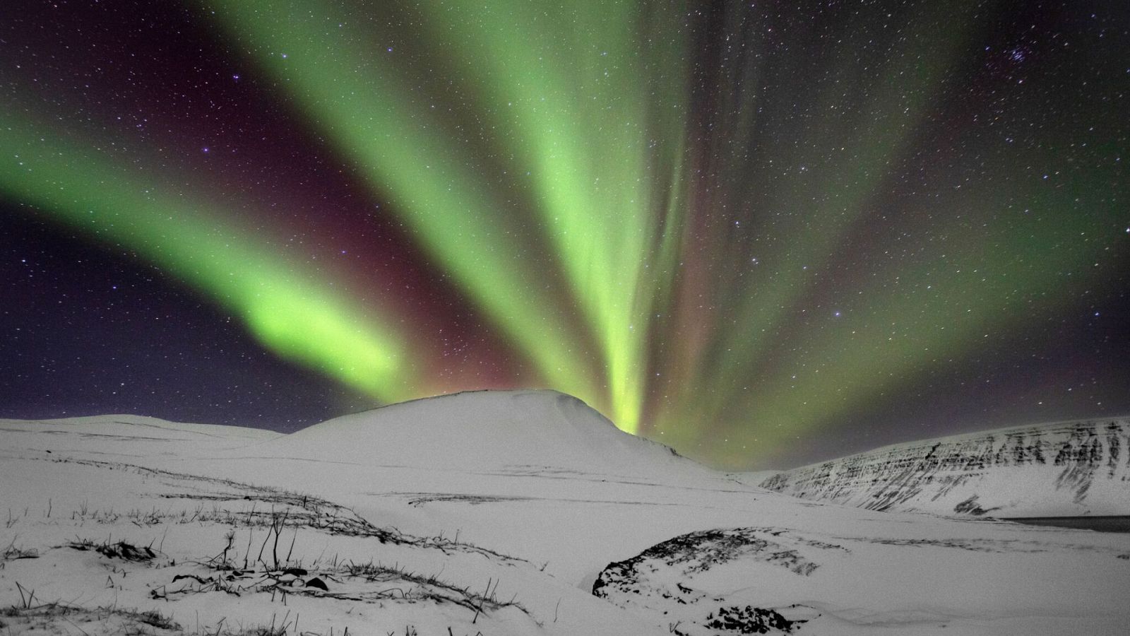 Escandinavia salvaje - Episodio 3: Hielo y fuego - ver ahora