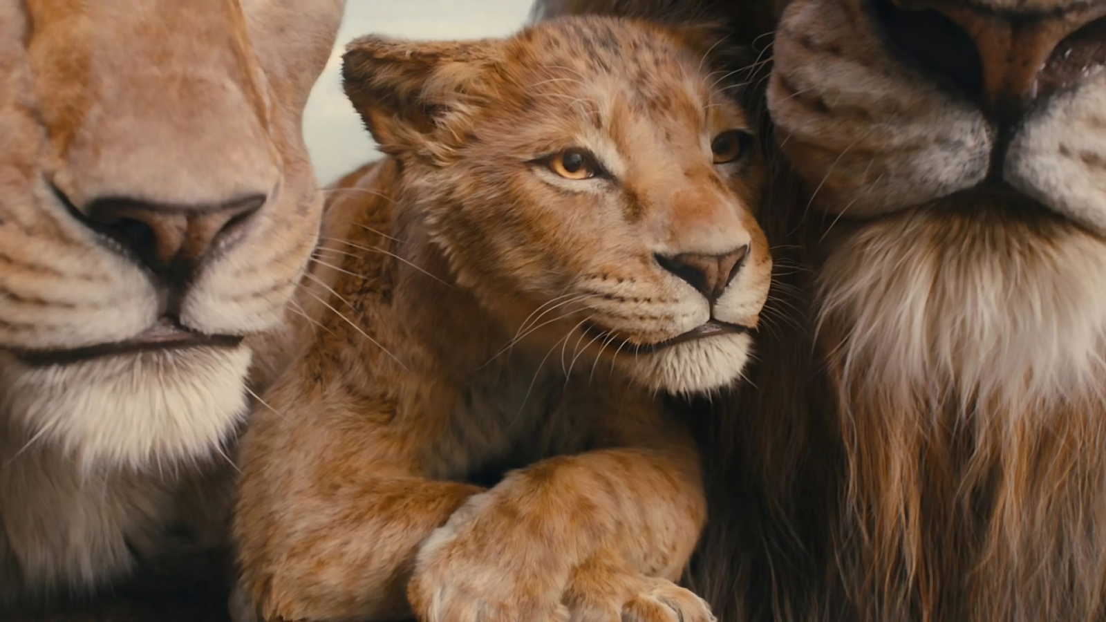 'Mufasa', un viaje a los orígenes de 'El Rey León' | Ver
