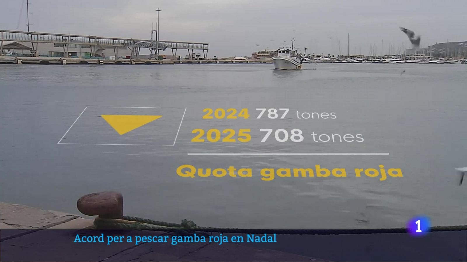 L'Informatiu de la Comunitat Valenciana 2 - 20/12/24 | Ver