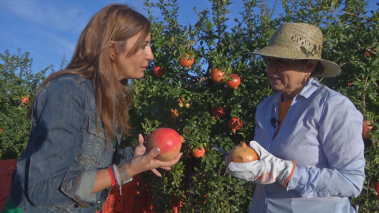 Comando actualidad - Secreto ibérico - ver ahora