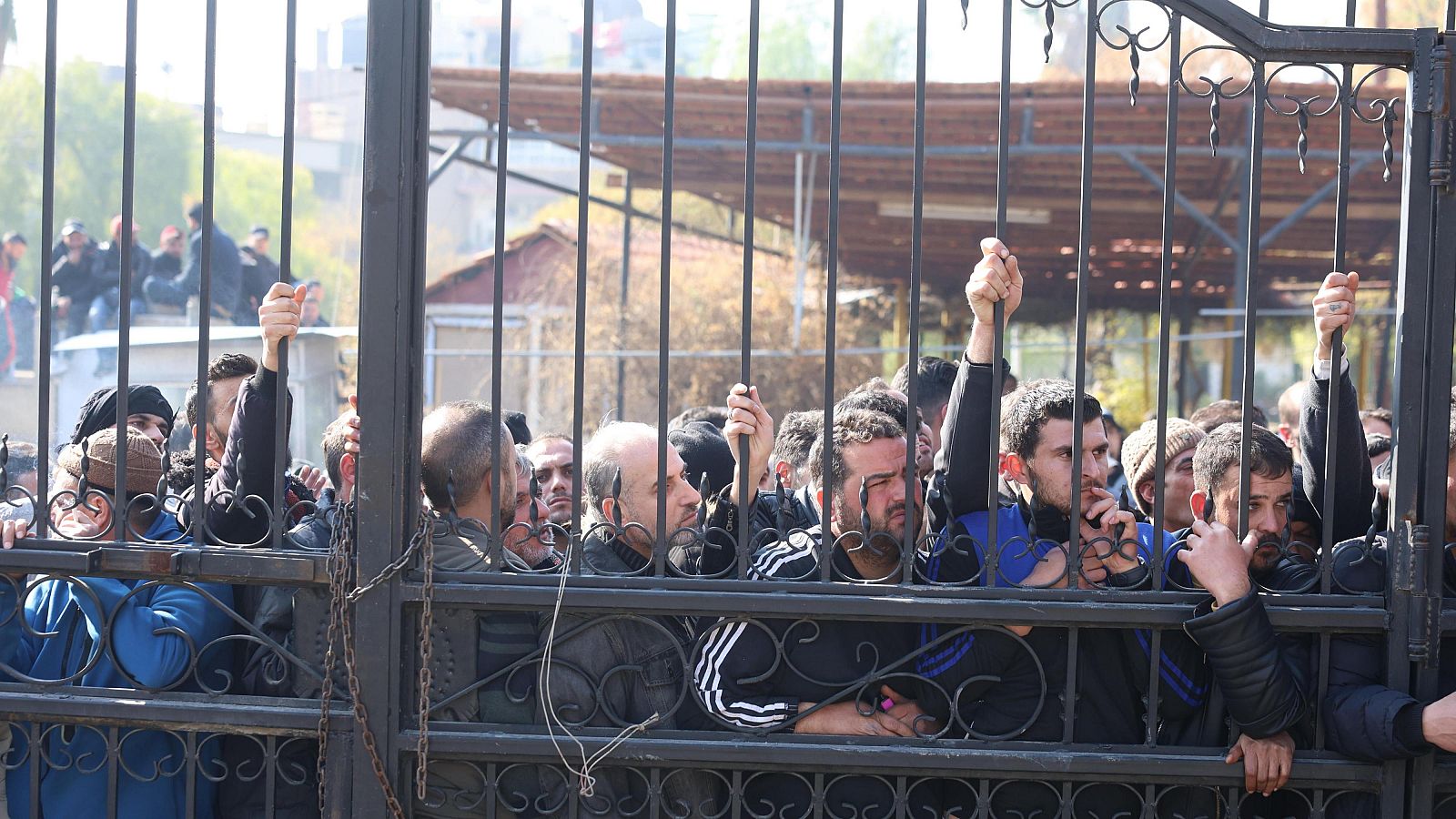 Antiguos miembros del ejército de Asad entregan sus armas | Ver