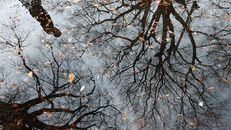 Lluvias en el norte peninsular y Canarias - El tiempo | Ver