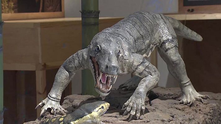 Telediario Fin de Semana - Encuentran en Mallorca los restos fósiles del antepasado más antiguo de los mamíferos