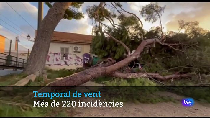 Informatiu Balear - Informatiu Balear en 2' - 23/12/24