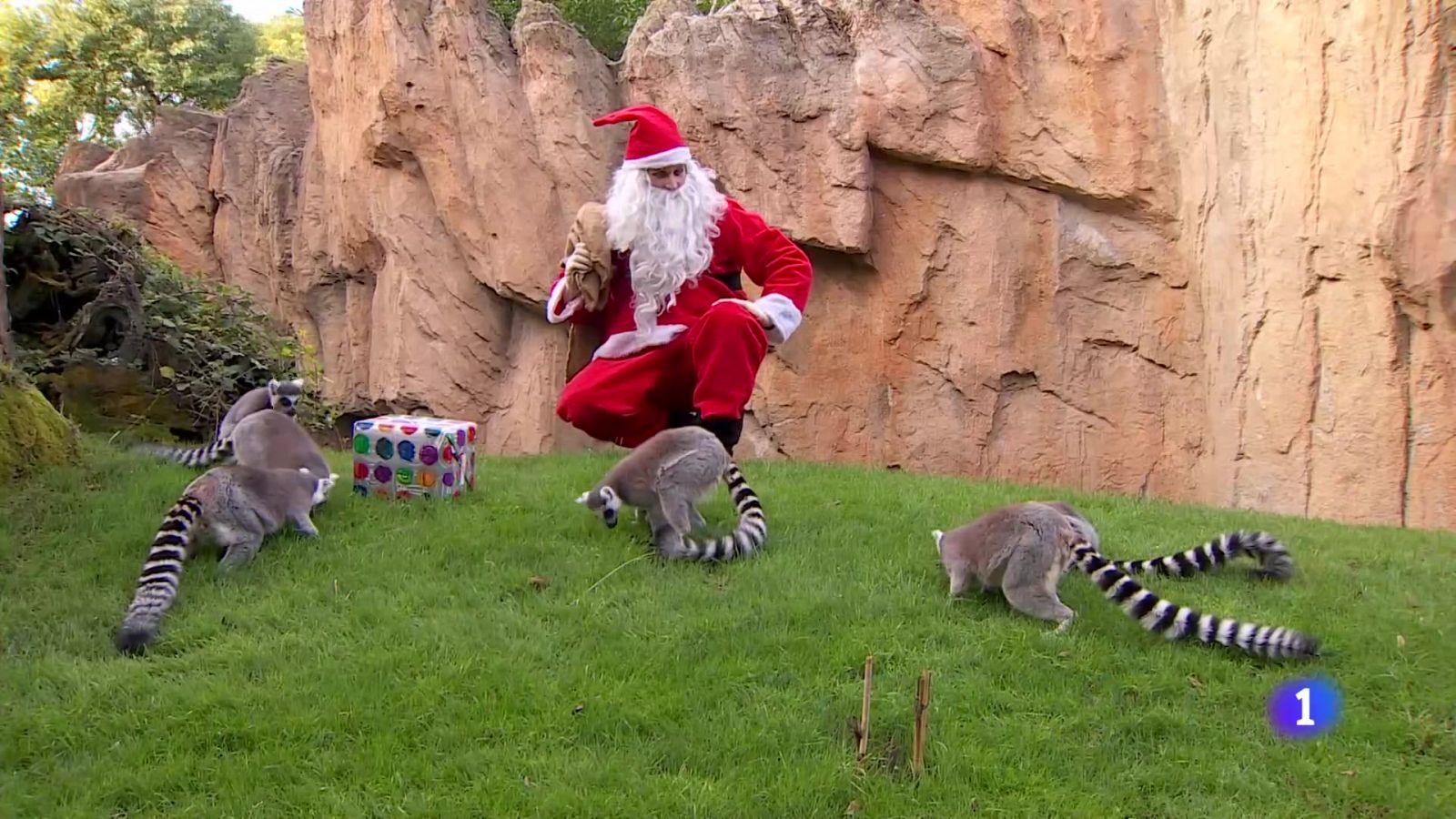 L'Informatiu de la Comunitat Valenciana 2 - 23/12/24 | Ver