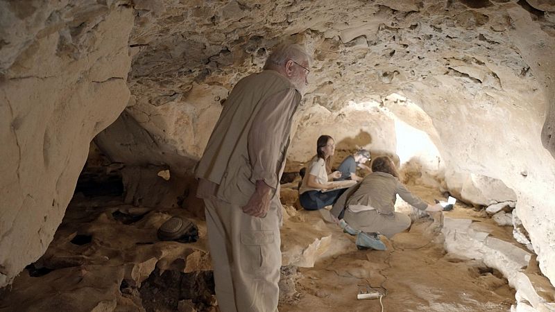 Somos documentales - Neandertal el primer artista de la humanidad - ver ahora