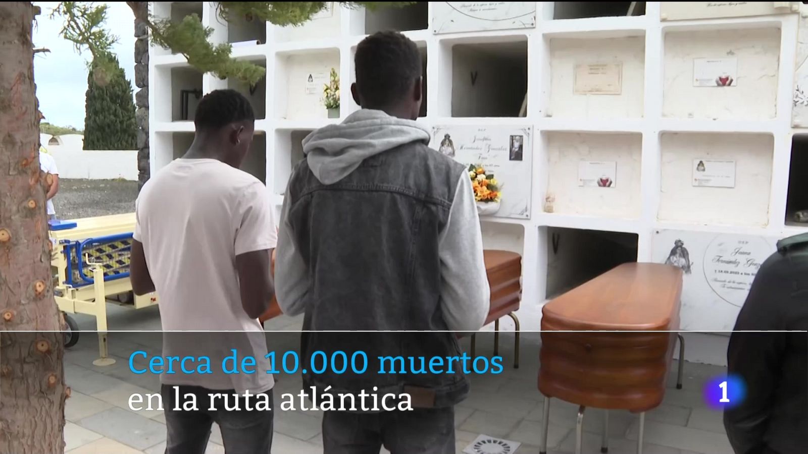 Telecanarias - 26/12/2024 | Ver