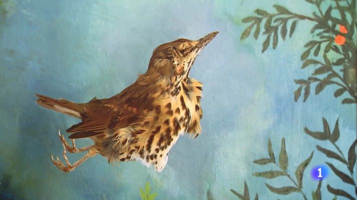 Informativo Telerioja - Informativo Telerioja 2 - 27-12-2024