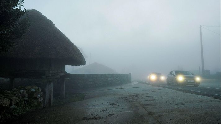 Cómo evitar los riesgos de la niebla en la carretera