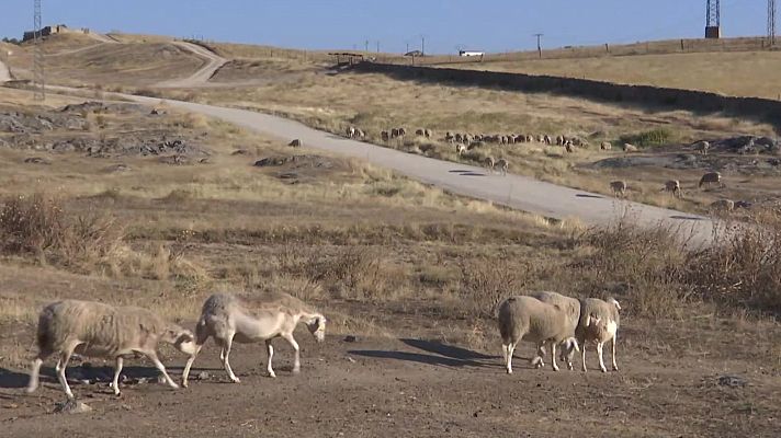 Agrosfera - Agrosfera - 28/12/24