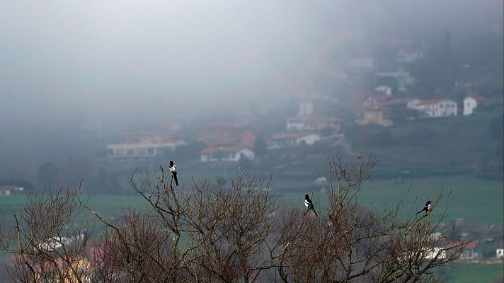 Sol en amplias zonas de España, nieblas y fuertes heladas