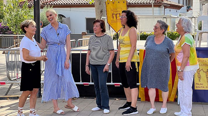 La fiesta digital - Palau-solitá i Plegamans