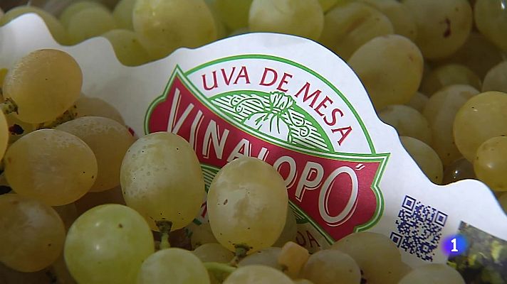 L'informatiu - Comunitat Valenciana - L'Informatiu Comunitat Valenciana 1 - 30/12/24