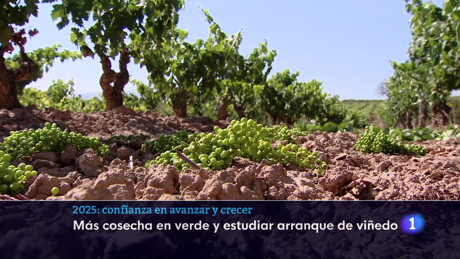 Telerioja en 2' - 30/12/24 - Ver ahora | Ver