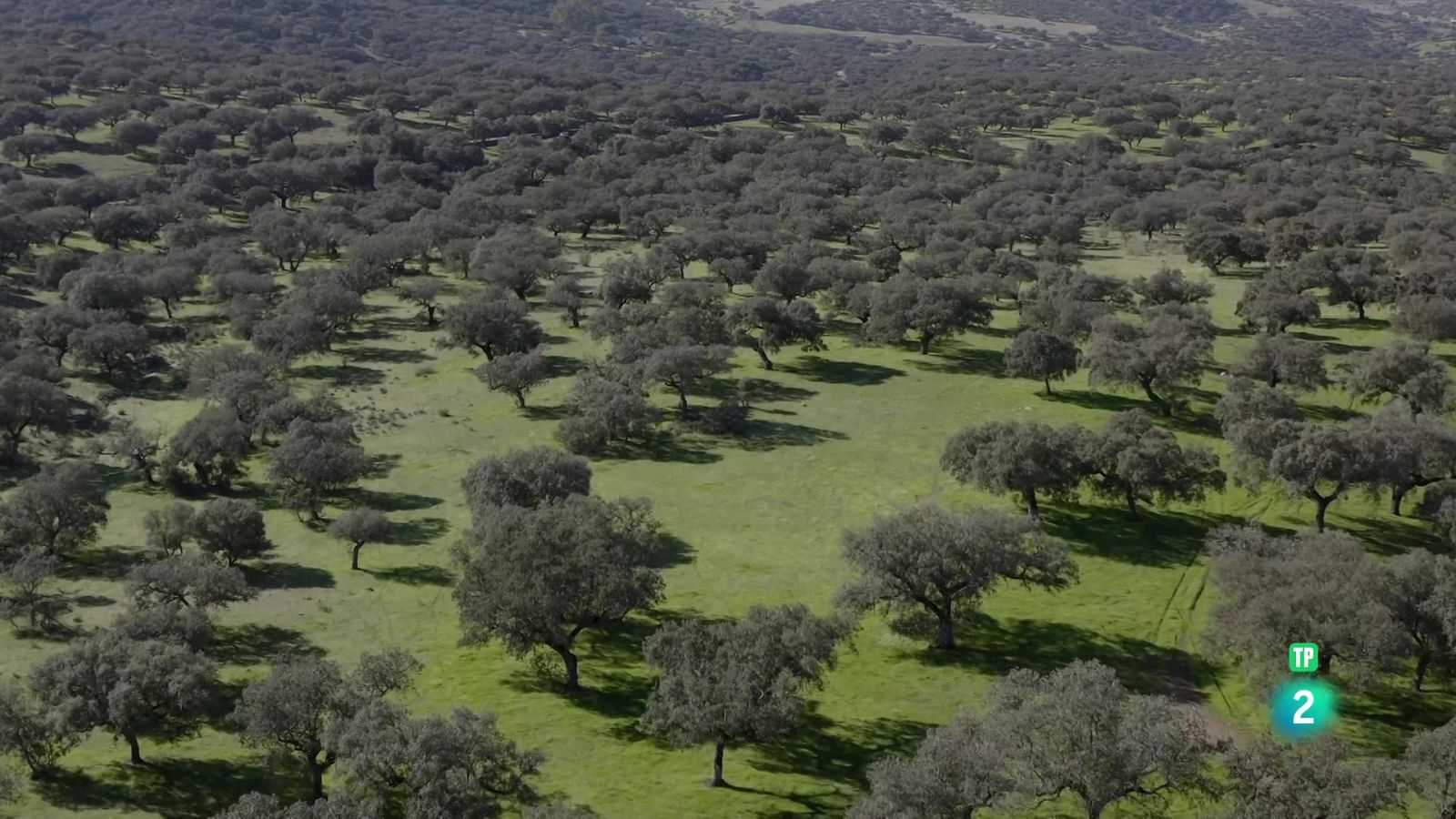 Badajoz: de Llanos de Olivenza a la Serra de Tentudía - Turisme rural al món