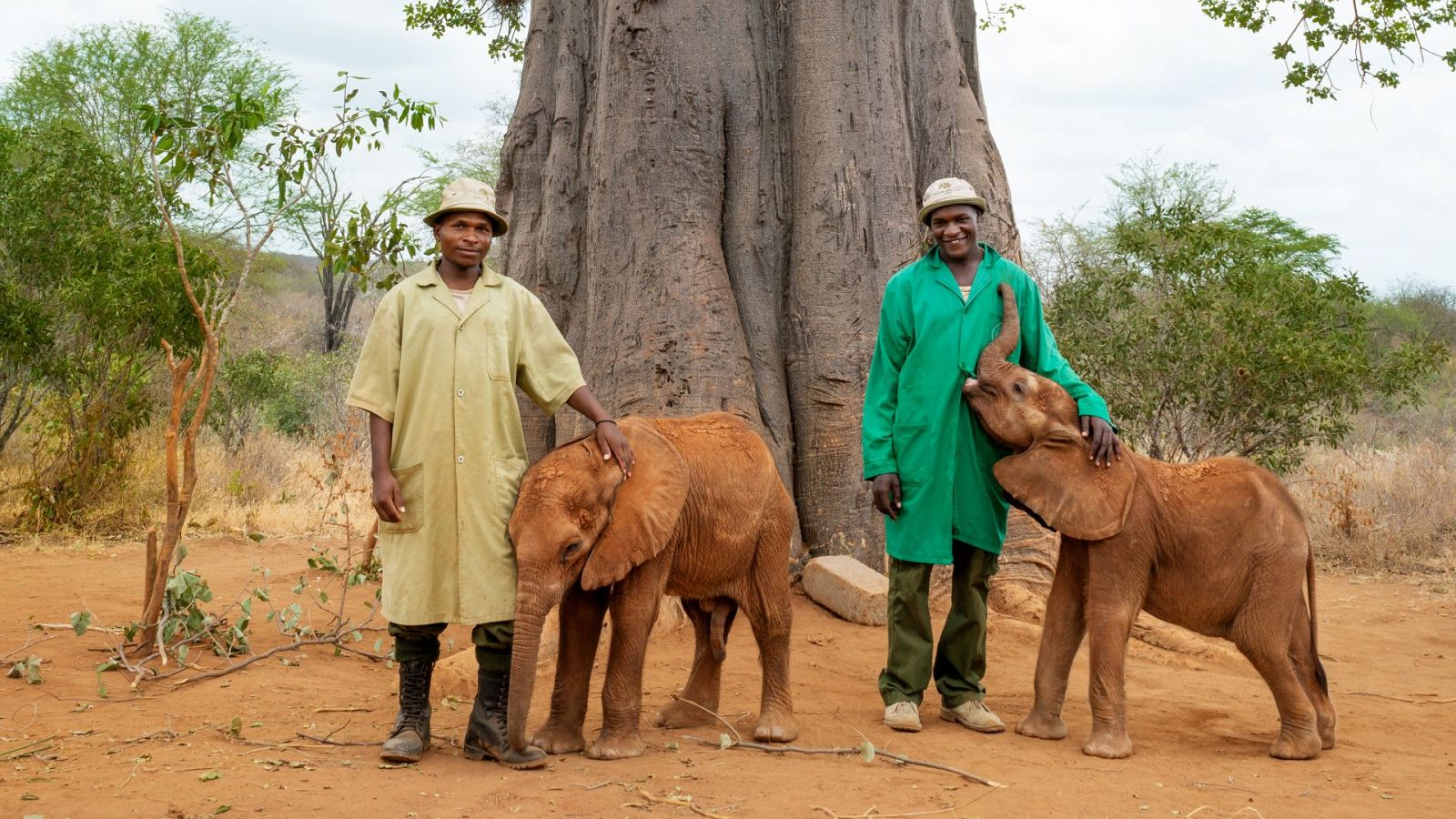 Un planeta perfecto - Episodio 5: El ser humano - ver ahora