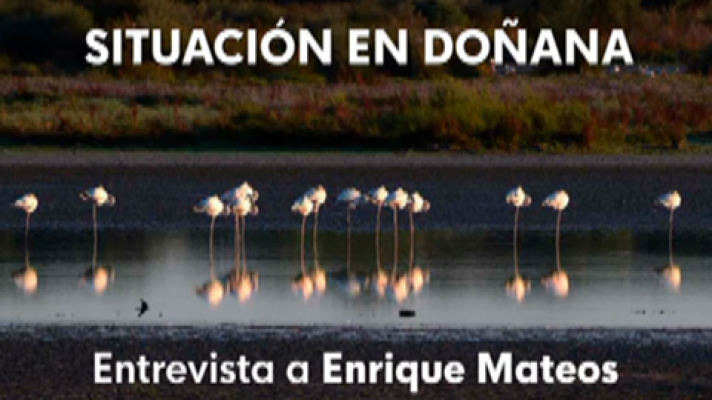 Noticias Andalucía - Entrevista a Enrique Mateos