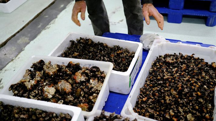 Informativo 24h - El paro baja en diciembre y la afiliación mejora