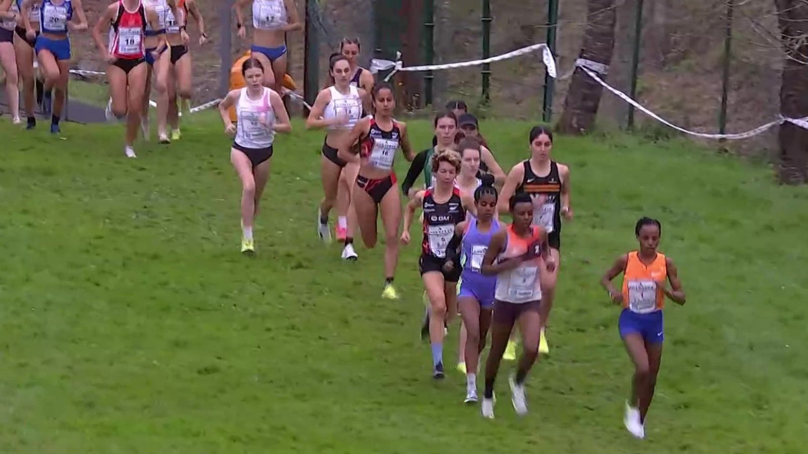Atletismo - Cross Internacional Juan Muguerza Elgoibar: Carrera femenina  - ver ahora