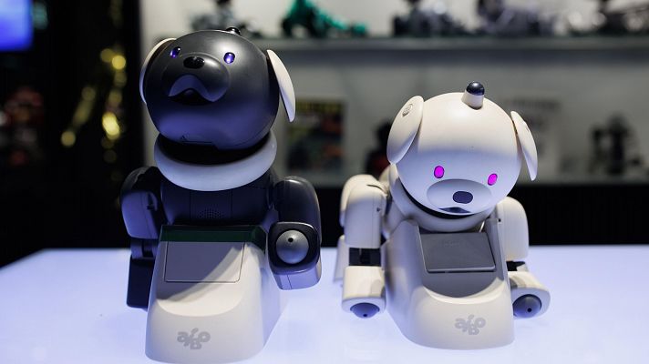 Telediario Fin de Semana - Consejos para que los juguetes inteligentes sean "ciberseguros"